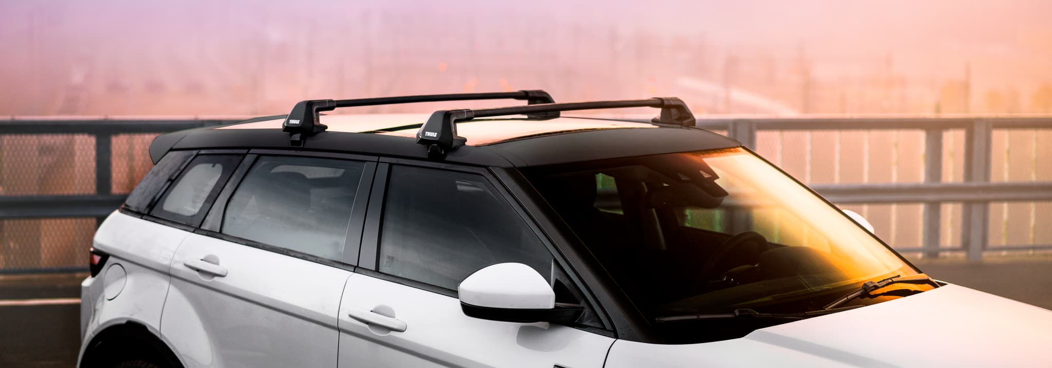 thule roof rack sky